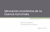 Valoración económica de la Cuenca Cuitzmala · • Proporciona estimaciones económicas de daños para la evaluación de daños a recursos naturales. • Para la incorporación