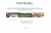 Estudio de pre-factibilidad para la implementación de …agronegocios.catie.ac.cr/images/pdf/seguros parametricos... · costos y tres escenarios de precios por ciclo de producción