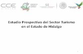 Prospectiva del Sector Turismo del Estado de Hidalgo …cceh.mx/wp-content/uploads/Plan-de-Prospectiva-Turistica-al-2030.pdf · Análisis de Actores o de identificación de retos