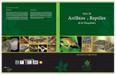 de la Chiquitania Anfibios y Reptiles Guía des6b4826563519d827.jimcontent.com/download/version/1418472634/... · de 5800 especies conocidas y los reptiles con alrededor de 7970 especies