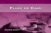 FLUJO DE CAJAcontabilidad7.com/wp-content/uploads/2018/04/flujo-de-caja.pdf · a pronosticar y estimar los cambios ﬁ nancieros ... Flujo de Caja Financiero 57,100 67,846 116,361