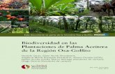 Biodiversidad en las Plantaciones de Palma Aceitera …inogo.stanford.edu/sites/default/files/Biodiversidad en... · Esto, en combinación con una infiltración 18 veces más lenta