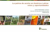 La palma de aceite en América Latina: retos y …semillasdepalma.com/honduras/la-palma-de-aceite-en-al-fedepalma.pdf · República Dominicana 31 52 67,7 Venezuela 67 41 -38,3 Panamá