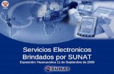Servicios Electronicos Brindados por SUNAT RUS, RER y General. • Información especifica para las necesidades el grupo, tutoriales. • Actualización de RUC. • Declaraciones Simplificadas