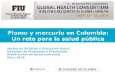 Plomo y mercurio en Colombia: Un reto para la salud … · Dispersión en el aire Contaminación de ... ANTIOQUIA Frontino Buriticá Segovia Zaragoza El Bagre Remedios Cáceres CHOC