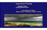 Ayala - amenorrea primariaMiami2016asent.pptsyllabus.aace.com/2016/curso-intensivo/presentations/4-ayala.pdf · –Pseudociesis –Anorexia nerviosa. Bulimia –Estrés. Depresión