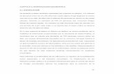 CAPITULO II. INVESTIGACION DIAGNOSTICA 2.1 …tesis.uson.mx/digital/tesis/docs/4527/Capitulo2.pdf · Farmacodependencia en México considerando el uso y abuso de ... grupo de migrantes