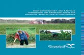 Implementación del Manejo Integrado de Malezas para … · 2015-10-06 · Impacto de las malezas en la producción de los ... Información sobre Herbicidas ... Rotación es la práctica