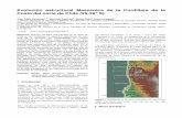 Evolución estructural Mesozoica de la Cordillera de la ...sitiohistorico.sernageomin.cl/pdf/congresogeo/51.pdf · trabajo se integra la información geológica y estructural de 4