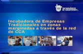 Incubadora de Empresas Tradicionales en zonas … · 3 El sistema de Incubadoras del Tecnológico de Monterrey, surgió en octubre del 2001 y el día de hoy integra a 27 incubadoras