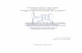 UNIVERSIDAD CATÓLICA DEL TÁCHIRA VICE …bibadm.ucla.edu.ve/edocs_baducla/tesis/P219.pdf · Administración Aduanera y Tributaria (SENIAT, 1996), el sistema aduanero . ... La gerencia