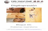 Digitopresión - Asociación Dao Shen Gong, Salud ...daoshengong.com/sites/default/files/cursos/archivos/digitopresion... · Frío de Pulmón y Vacío de Yin muy característicos