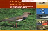 Observación de aves silvestres en libertadfiles.aulainformaticant2.webnode.es/200000154-9a8b29b84b... · Esa capacidad de las aves de moverse por el cielo infinito, ha tenido singular