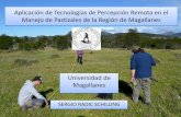 Aplicación de Tecnologías de Percepción Remota en el ... Seminario... · Manejo de Pastizales de la Región de Magallanes Universidad de Magallanes SERGIO RADIC SCHILLING . Trabajos