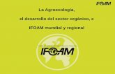 La Agroecología, el desarrollo del sector orgánico, e ... · La Agroecología, el desarrollo del sector orgánico, e IFOAM mundial y regional. ORLD 2 1. Contexto y la necesidad