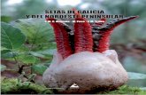 setas de Galicia - cumio.com · En la parte descriptiva se estudian 500 especies, ... una extensa ficha en la que se detalla la ... hacer copias digitales de algún fragmento de esta
