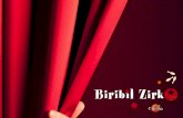 La peculiaridad de Birbil Zirko Eskola es que llevamos … · ESCUELA DE CIRCO Curso anual de circo, donde los alumnos además de aprender diferentes técni-cas de circo, acaban desarrollando