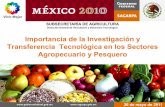 SUBSECRETARÍA DE AGRICULTURA - redinnovagro.in · Desarrollo de tecnología mexicana para los problemas de México Desarrollo Rural asertivo, innovador y competitivo ... Desarrollos