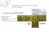 Presente y futuro de los nuevos combustibles · como a partir de Biomasa Fuente: EUCAR / CONCAWE / JRC- WTW Ver 2. 2006 ... DEL GAS SINTESIS Y SEPARACIÓN DE PRODUCTOS FT-diesel Gas