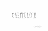 CAPITULO ll MARCO TEORICO - Acervos Digitales …catarina.udlap.mx/u_dl_a/tales/documentos/lad/espinosa_b_e/... · especialización en la fabricación de ciertos productos, lo cual