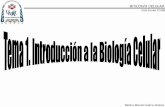 Mónica Marcela Galicia Jiménez - Biología Celular · •Un acontecimiento crucial en el origen de la vida fue la formación de la membrana que separó a las células primitivas