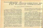 Contribución al MEJOR CONOCIMIENTO DE LAS …guayubira.org.uy/monte/bibliografia/Lombardo_1960.pdf · deas de la familia Leguminosas. Les ... queño plumero. El nombre científico