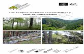 Los bosques maduros: características y valor de …redbosques.eu/system/files/shared/REDBOSQUES/B3/BOSQUES... · ... 17 4.1.2. Quirópteros ... no existan prácticamente bosques