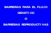 BARRERAS PARA EL FLUJO GENETICO O …docencia.udea.edu.co/cen/mecanismos-evolucion/pdf... · Clasificacion de barreras al flujo génico (Futuyma, 1998) 1.Barreras precigóticas (mecanismos