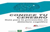 La Asociación deesclerosismultiplehuelva.org/.../guia-conoce-tu-cerebro.pdf · 2017-09-19 · de estimulación individual que actúe en la conducta y en las funciones cognitivas