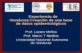 Experiencia de Honduras:Creación de una base de … · Experiencia de Honduras:Creación de una base de datos epidemiológicos Prof. Lazaro Molina ... Estudios sobre Medicina complementaria