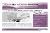 DE EVALUACIÓN DE IMPACTO AMBIENTAL (EEIA) …probioma.org.bo/boletines/boletin22.pdf · El Complejo Hidroeléctrico del Río Madera es un ... El Complejo Hidroeléctrico del Río