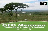 GEO MERCOSUR 2008 - ambiental.netambiental.net/wp-content/uploads/2015/11/GeoMercosurCompleto.pdf · sil, Paraguay y Uruguay, es parte de una nueva generación de acuerdos y luego