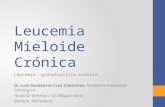 [PPT]Leucemia Mieloide Crónica - Tómate tu medicina! | … · Web viewCrisis blástica 20% o más Blastos Fase Acelerada, Presencia de blastosparatrabeculares (Mínimo 10 a 15%)