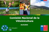 Comisión Nacional de la Vitivinicultura · 2017-11-22 · Agenda Estrategia y estado del trabajo realizado en el marco de la Comisión Nacional de la Vitivinicultura. 4. Discusión.