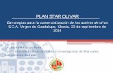 PLAN STAR OLIVAR - Agronegocios · la producción de aceites de oliva ... En definitiva, la producción y uso de energías renovables en el sector oleícola y la mejora de la eficiencia