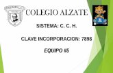 COLEGIO ALZATE SISTEMA: C. C. H CLAVE: 7898 …conexiones.dgire.unam.mx/wp-content/uploads/2017/... · ÍNDICE DE APARTADOS DEL PORTAFOLIO ... I Evidencias de proceso 4. Organizador