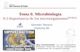 Tema 8. Microbiología - dpbiologia.weebly.comdpbiologia.weebly.com/uploads/2/1/5/5/21553524/gtp_t8.microbiolog... · si se trata de un microorganismo patógeno, tras alcanzar el
