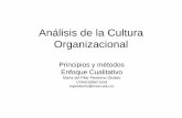 Análisis de la Cultura Organizacional · Punto de Partida ¿Por qué es tan ... • Reconocen la influencia del medio en la cultura organizacional. ... contribuyen al desarrollo