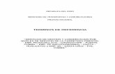 TERMINOS DE REFERENCIA - gis.proviasnac.gob.pegis.proviasnac.gob.pe/FilesPdfs/Proyectos/00952_3.pdf · Servicio de la Carretera Pimentel - Emp. PE 1N/Chiclayo – Chongoyape – Puente