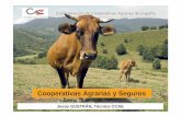 Confederación de Cooperativas Agrarias de España · Confederación de Cooperativas Agrarias de España Ranking Empresa Sector - Productos Facturación 16 COREN Cárnicos 840 17
