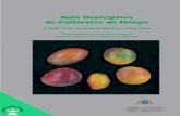Guía DescriptivaGuía Descriptiva de Cultivares de Mango · nivel mundial, entre ellos los adecuados para el cultivo comercial en Canarias, así como material local cuyo uso prin-cipal