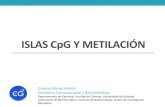 ISLAS Cpg y Metilaciónbioinfo2.ugr.es/presentaciones/secuencias/islas.pdf · ... Universidad de Granada ... tienen una isla asociada a su promotor pero solo la mitad de los ... Hibridación