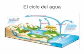 El ciclo del agua - IES Sierra Sur · diferentes al alejarnos de la orilla. El pantano del Quiebrajano (cuando tiene agua) ... El agua del embalse del Quiebrajano está destinada