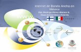 Internet de Banda Ancha en México - diputados.gob.mx · Fuente: Datos de la AMIPCI. De acuerdo con estudio de la BBC World Service (2010): • 27,000 adultos encuestados en 26 países.