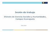 Sesión de trabajo - ugto.mx · División de Ciencias Sociales y Humanidades, Campus Guanajuato. Capacidad Académica. Número de profesores de tiempo completo de la División de
