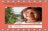 Pueblo Indígena Tacana - Cloud Object Storages3.amazonaws.com/WCSResources/file_20111123_144637... · nuevos dirigentes, con un estatuto y una personería jurídica ... parque Madidi
