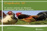 El sector avícola en Navarra: producción de pollos y … · cuando surgió en España la necesidad de criar pollos en mayores cantidades y de forma más intensiva, para abas- ...