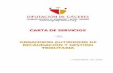 CARTA DE SERVICIOS - Diputación Provincial de … · ... independientemente de la naturaleza de las mismas y de la clasificación en que se haya encuadrado dentro del siguiente catálogo.