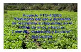 Proyecto FTG-438/05 “Reducción del uso y desarrollo … · Proyecto FTG-438/05 ... cultivo de arroz y fréjol en Colombia, Venezuela y Ecuador”. ... invernadero para la cría