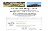 PROYECTO DE ACTUACION DE NSTALACION DE …multimedia.dipusevilla.es/constantina/pdfs/Urbanismo/2017_07_14... · Ingeniero Técnico Industrial Ángel Quintero Sánchez. Clgo. 8266.